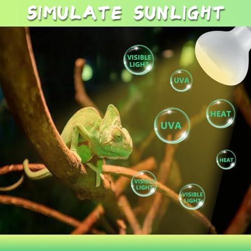 LUCKY HERP 2 Pack 100W UVA Reptile Heat Lamp Bulb, Amphibian Basking Spot Light Bulb, Reptile Daylight Bulb for Turtle, Bearded Dragon, Lizard Heating Use - 2