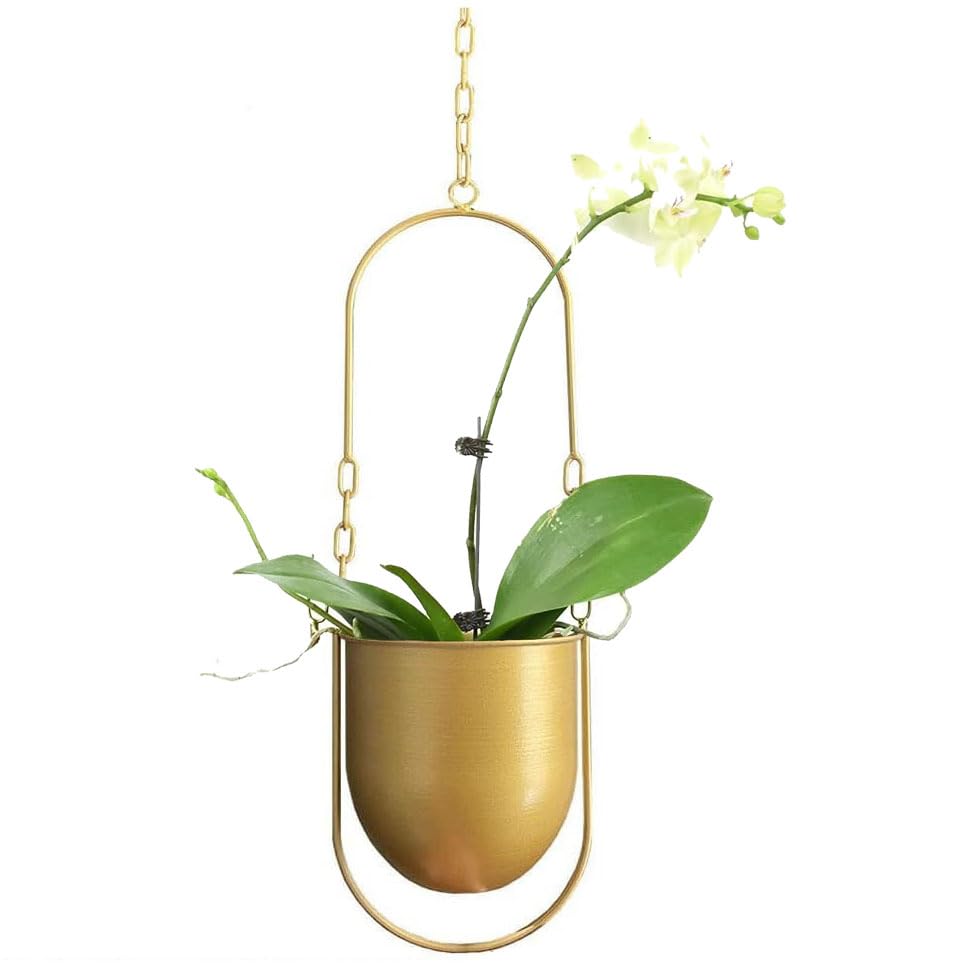 Beihaoer Pot de décoration suspendue en métal boho panier suspendu plafond planteur pour plantes d'intérieur succulentes aériennes cactus (or)