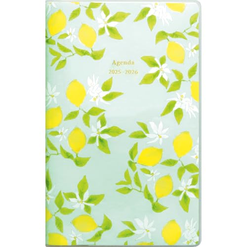 �G���R�~���\�� �}�g�J �蒠 2025�N 4���n�܂� �R���p�N�g �}���X���[ �W�����_�� �V�g���� DR-MC-363