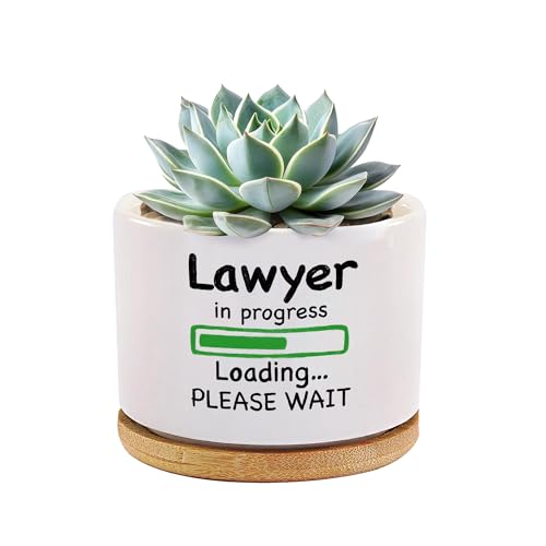 Lawyer in Progress Ceramic Succulent Plant Pot with Bamboo Tray Round Law Student Future Lawyer Graduation Gift Attorney Home Office Decor Plant Lover 3.5 Inch White