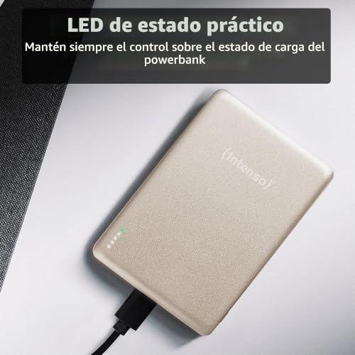 Batería externa 5000 mAh Intenso MW5000 USB-C PD 20W champán 6