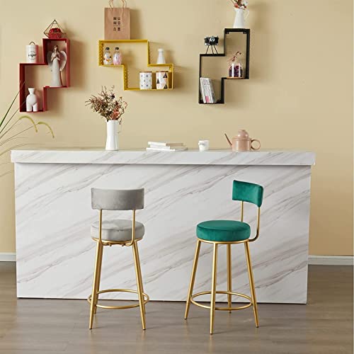 Tabouret de bar industriel rigide 65 cm résistant aux rayures avec dossier confortable - 3