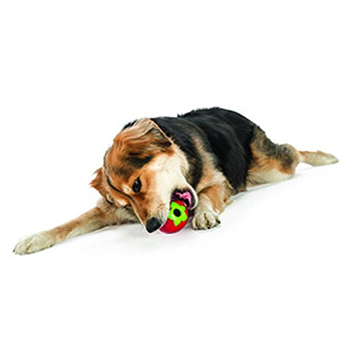 Planet Dog Orbee-Tuff Strawberry Durable Dog Chew Toy