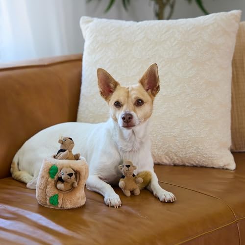 Image of Outward Hound Squeakin' Squirrels - 3‑Pack Plush Squeaky Dog Toys for Puppies, Small Dogs & Hide-A-Squirrel Replacements