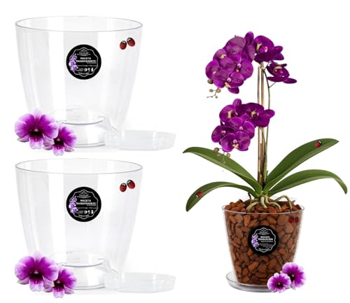 LiveLaif®- 2 Maceta orquidea Transparente Redonda Oval Ø14,5cm + Plato | Maceta Transparente orquidea | Agujeros Drenaje, Efecto Vidrio | Cubremaceta | Hecha en España, Tamaño a Elegir (2, Ø14cm)