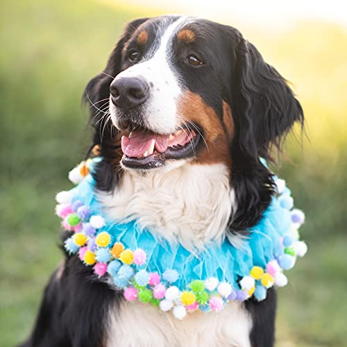 Midlee Blue Birthday Pom Pom Dog Collar (X-Large) #TOP2