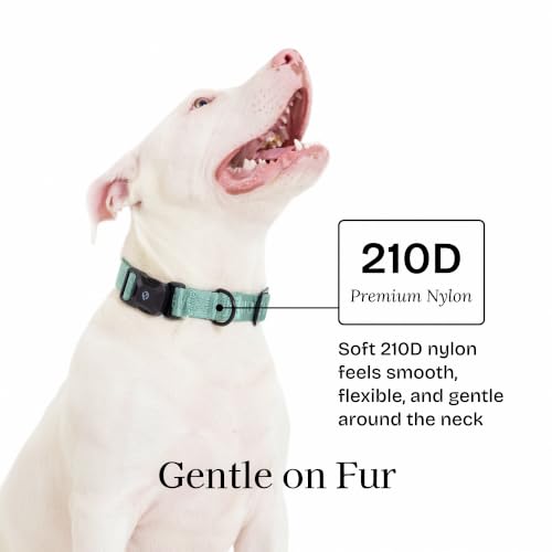 Collar para perro mediano Fei & Eve clásico verde glaciar miniatura 3