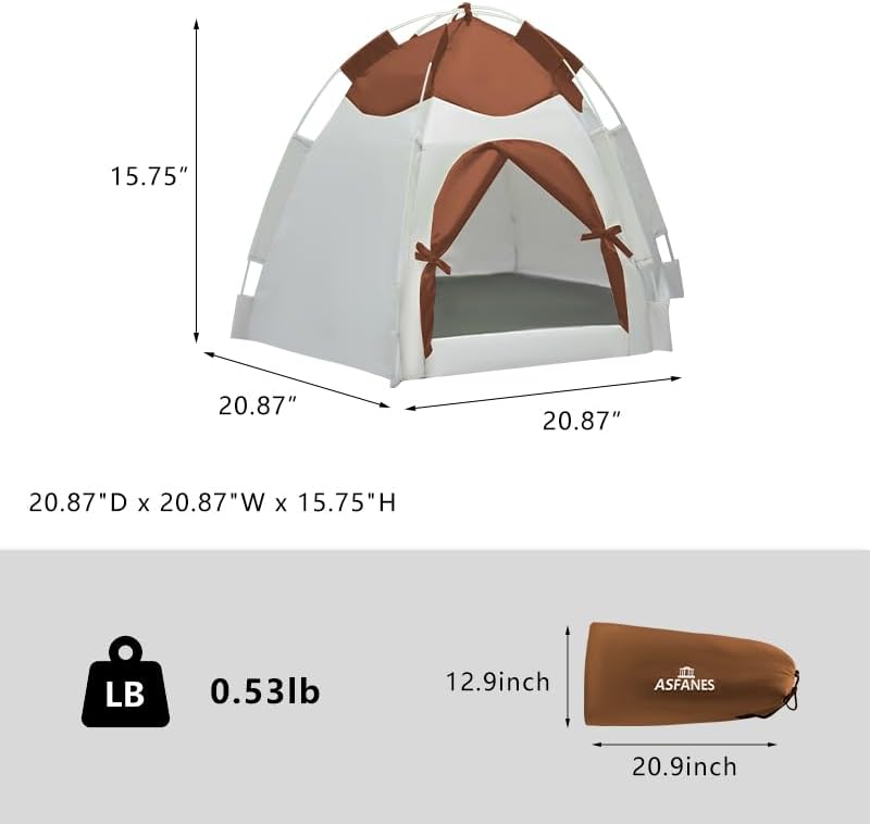 https://m.media-amazon.com/images/I/41l7YaJW64L._AC_.jpg