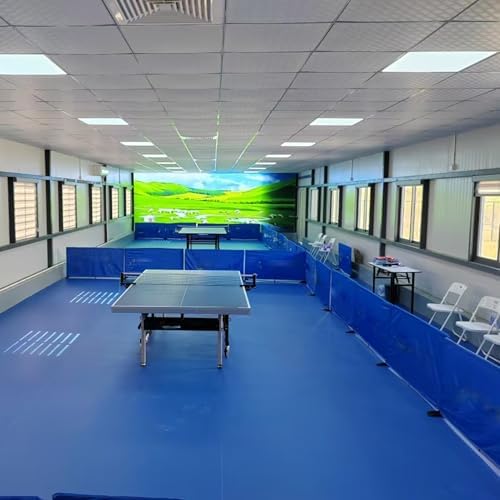 Portable Table Tennis Court Divider & Surround Block, Indoor/Outdoor Game Room Fence for Community Play, Space-Saving Sports Barrier