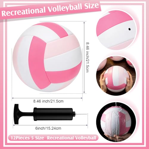 Image of Vinsot 12Pcs Size 5 Recreational Volleyballs with Air Pump Regulation Soft Volleyball Ball for Outdoor Indoor Play Waterproof Volleyball Bulk for Beginner Gym Training Beach Swimming Pool