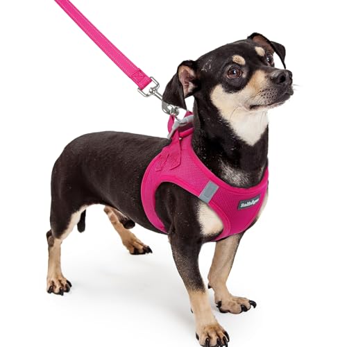 Rabbitgoo ���n�[�l�X ���[�h�Z�b�g �����^�� ���^�� ���^�� ��^�� ���p ���� �\�t�g �}�W�b�N�e�[�v�t�� ���ˑf�ޕt�� �y�b�g�p�i �́[�˂� ��������h�~ �����Ȃ� �A�ɗD���� ��Ԕ��� ���߉\ �E���ȒP �y�� ���b�V�� ���K �ʋC ���