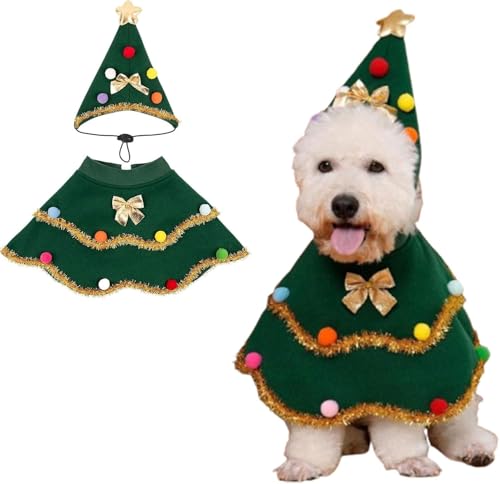 NX}Xc[ RX`[ ybg  L }g Xq 2_Zbg 킢  ϐg蕨  ȒP _炩 NX}X ʐ^Be p[eB[ ϐgObY (S)