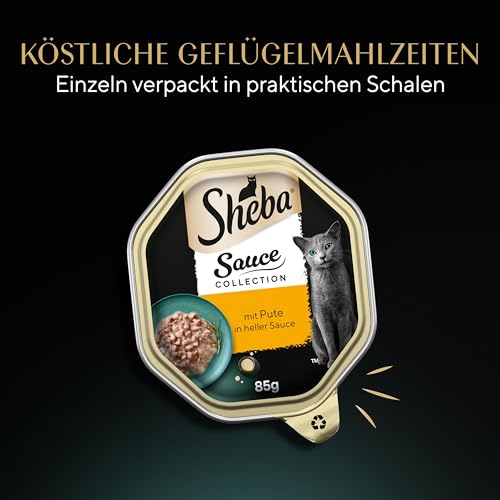 SHEBA Schale Nassfutter für Katzen Sauce Collection mit Pute in Heller Sauce 2 x 11 x 85g 5