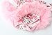 Baby Girls 3 Piece Sets Romper Dress Shoes and Headband Rose Flower Outfits Clothes Pink S:3-6Months
