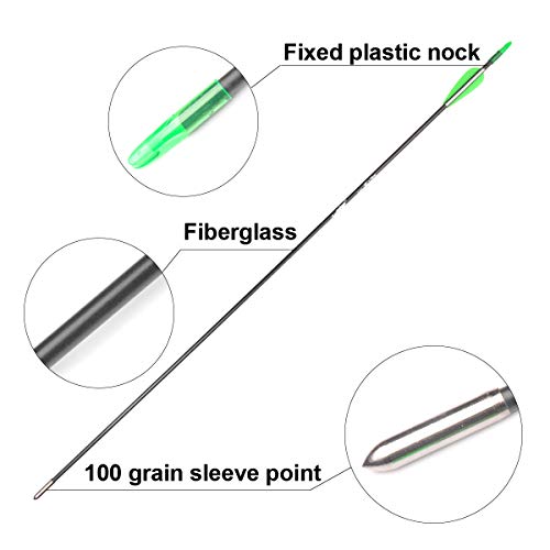 ANTSIR 30 Fiberglass Archery Target Arrows- Practice Arrows for Kids Youth or Begineers on Recurve Bow Long Bow Traditional Bow (Green Vanes Pack of 12)
