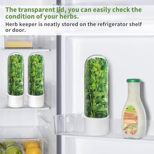 Image of Herb Keeper for Refrigerator, Fresh Herb Storage Container with Clear Dome, Keeps Cilantro Mint Parsley Asparagus Fresh 2-3 Weeks, 9.65 Inch, White, 1 Pack