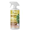 Bloom & Bud Insecticidal Soap Spray – Fast-Acting Natural Pest Control for Plants (500ml) – Kills Aphids, Spider Mites, Whiteflies & More – Visible Results in 24 Hours – Safe for Indoor & Outdoor Use