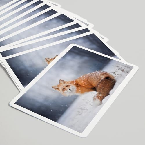Baraja de póker Red Fox cubierta de nieve, 52 cartas miniatura 5