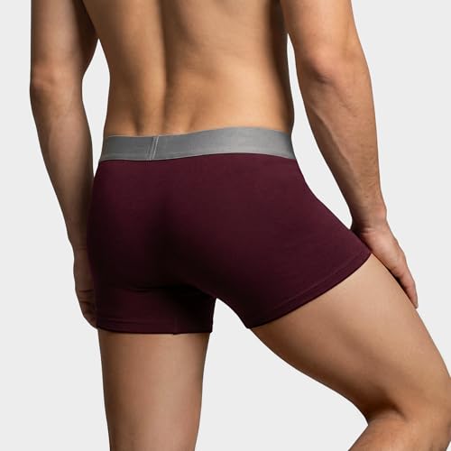 Image of Levi's Cotton Elite Trunk | Premium Men's Trunk Underwear | 4-Way Stretch | Outer Elastic Waistband | H-Pocket | Style 072 | Pack of 1