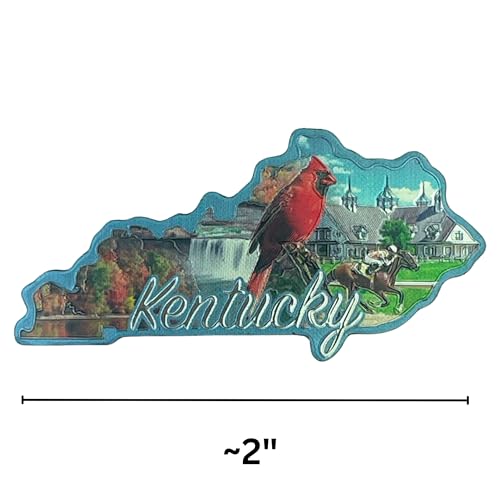 Imán decorativo de estado Kentucky pequeño 2 pulgadas miniatura 4