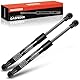 Frankberg 2x Gasfeder Dämpfer Verdeckklappe Kompatibel mit CLK C209 Cabriolet 2003-2005 CLK A209 Cabriolet 2003-2010 Replace# 2096900056