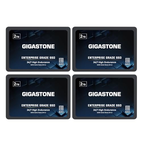 Gigastone 2 TB NAS SSD Cache 4-pack för RAID och affärsserver
