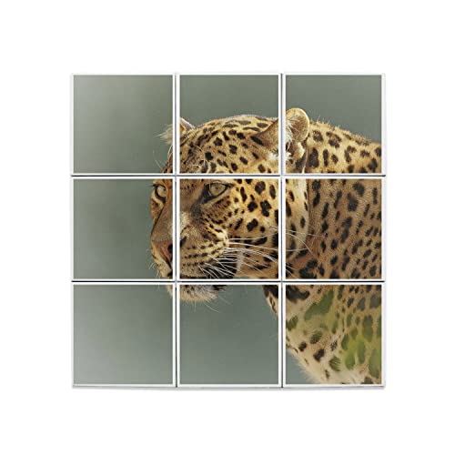Carreaux Céramique Léopard 20x20 Céramique Animalier Faïence