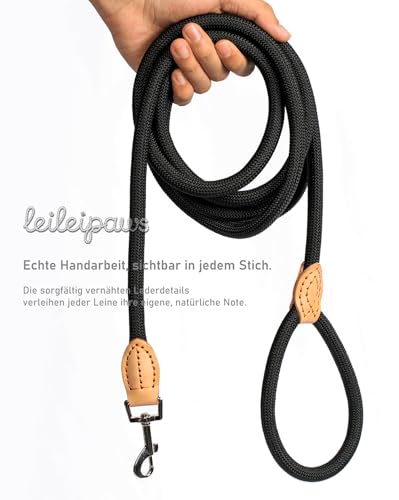 LeileiPaws Tauleine Hund – Nylon Hundeleine für kleine, mittelgroße & große Hunde – hundeleine leicht mit Schlaufe für kleinere Hunde, robuste Hundeleine große Hunde(Schwarz, 2m x 0.8cm)