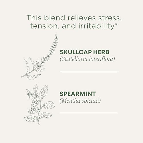 Image of Traditional Medicinals Organic, Stress Ease Tension Relief, Lemon Verbena Mint Tea - Supports Stress Relief - Kosher, Non-GMO, Caffeine-Free, Compostable - 16 Tea Bags