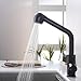Produktbild HOMELODY Spültischarmatur mit Brause Ausziehbar, Wasserhahn Küche mit 2 Strahlarten Geschirrbrause, 304 Edelstahl Küchenarmatur, Hochdruck Mischbatterie 360° Drehbar, Einhebelmischer Armatur Schwarz