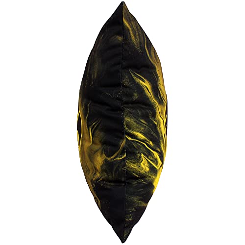 Image of Iowa Hawkeyes 2 Sided Color Swept Decorative Pillow, 16 inch, Made in The USA