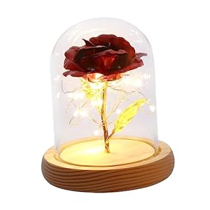 EPIGEIST Blattgoldrose in Glaskuppel