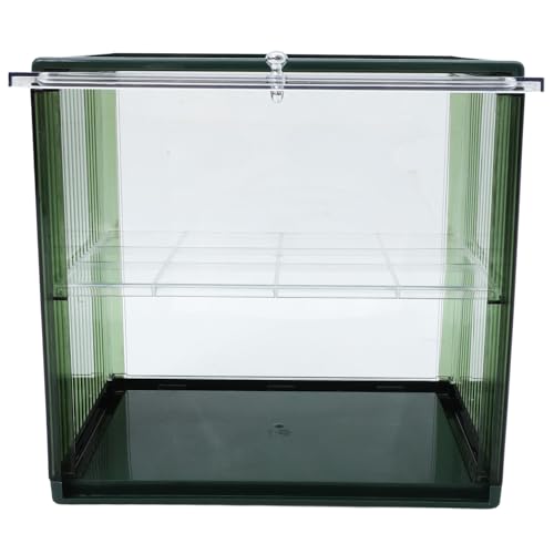 Caja de pan de doble capa SECFOU verde y transparente para cocina 2