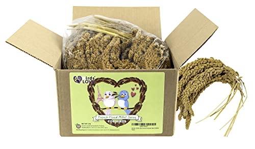 Birds Love French Kissed Millet For Cockatiel, Lovebirds, Parakeet, Finches, Canary And All Birds | Healthy Treat For Parrorts | Gmo-Free Millet - Free From Pesticides And Additives | 2Lb #TOP2