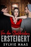 Von den Stiefbrüdern ersteigert: Ein Ménage-Roman (Christmas-Cherry-Auktion-Reihe)
