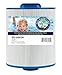 Spa-Daddy SD-00036 Filter - Replacement for Artesian Top Load Spa | Coleman Replaces Pleatco PAS35-F2M | Filbur FC-0420 | Unicel 7CH-322