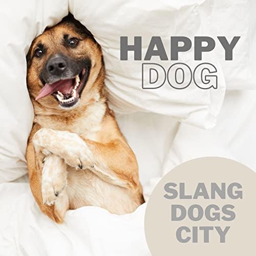 What Is Dog Slang For