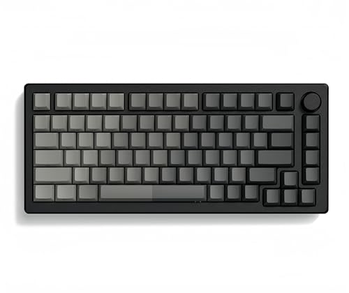 Image of dagaladoo Double Shot PBT keycaps for Mechanical Keyboard,Shine Through keycap Cherry Profile,Gradient Grey,Side Printed Keyboard caps for Mechanical Gaming Keyboards(121key,only keycaps)