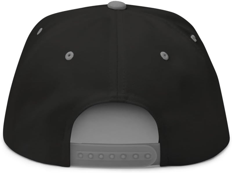 Oh Brother This Guy Stinks Hat (Embroidered Flat Bill Snapback Cap)
