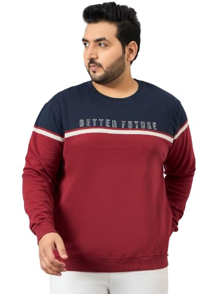 austivo Man Striper Sweatshirt-picture-46