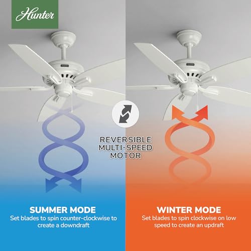Image of Hunter Newsome, Indoor, Ceiling Fan, No Light, Quiet, 52 inch, Fresh White