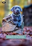 Magie der Tierfotografie - Momente für die Ewigkeit: Technik, Geduld und Intuition für beeindruckende Tierporträts
