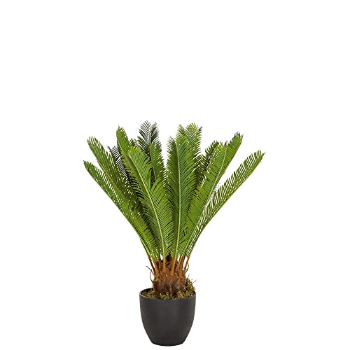 hjh OFFICE Planta artificial CYCAS Palm Altura 70 cm Verde 24 Frondas de palmera Palmera artificial pequeña Cycas palm helecho artificial, 871004
