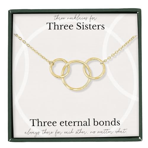 Sister Gifts from Sisters from brother Sister necklace set for 2 3 4 5 Big Sis Lil Sis Jewelry Sentimental Birthday Wedding Present Message card Infinity Linked Circles pendant Sterling Silver Gold