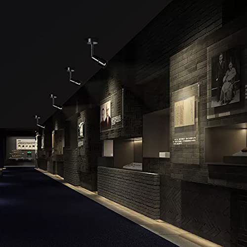 Foco LED con enfoque ajustable de 10 a 70° y rotación total de aluminio 4