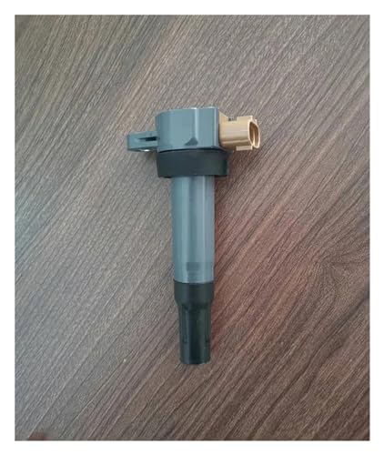 Bobina de encendido para mantener la potencia de su coche Suzuki Kizashi 6