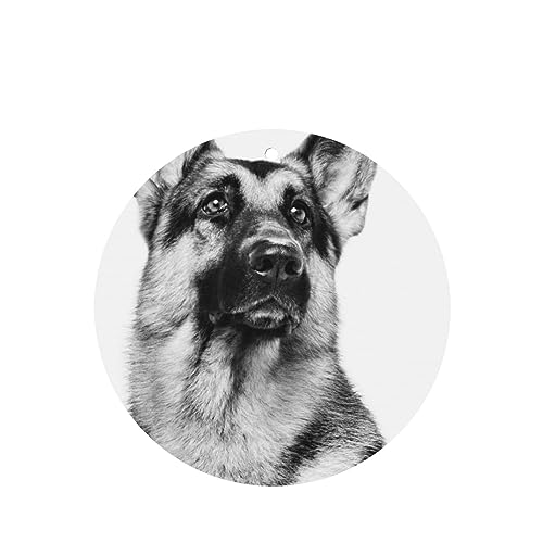 W[}VFp[hhbOԗpF p[\iCYꂽXCX J[A}Zs[^ubg ݂艺F܃J[h [vt 4 ԂƂ̑p