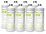 Terra Domi Rusche die Steindusche, 8x1 Liter Konzentrat, Steinreiniger für bis zu 3200 m², Reinigungsmittel für saubere Wege & Plätze, Wegerein, biologisch abbaubar