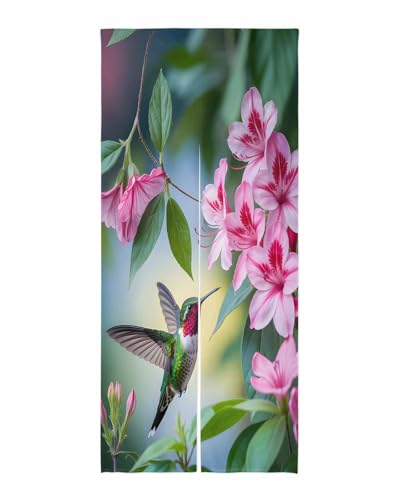 Sauoromeon ̂ J[e 75x200cm  Ռ g hAJ[e d؂ ډB ʋC a  tbg OΉ Ђt t   n`h R   Lb` rO tďH~