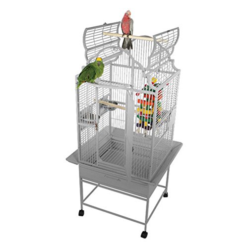 A&E Cage Co. Victorian Cage with 5/8" Bar Spacing, 24"x22" Opening, Stainless Steel